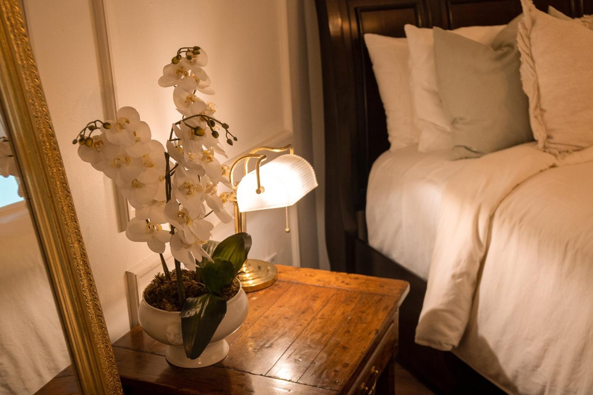 Bed and Breakfast Mansion Papilio Мехіко Екстер'єр фото