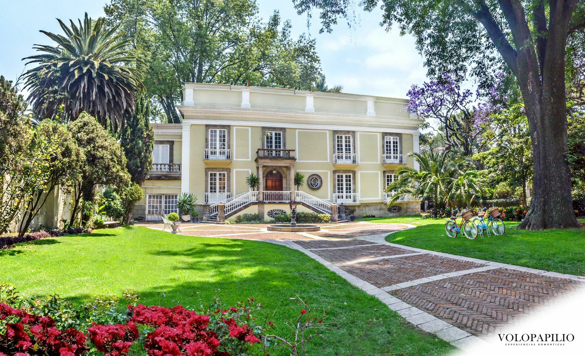 Bed and Breakfast Mansion Papilio Мехіко Екстер'єр фото